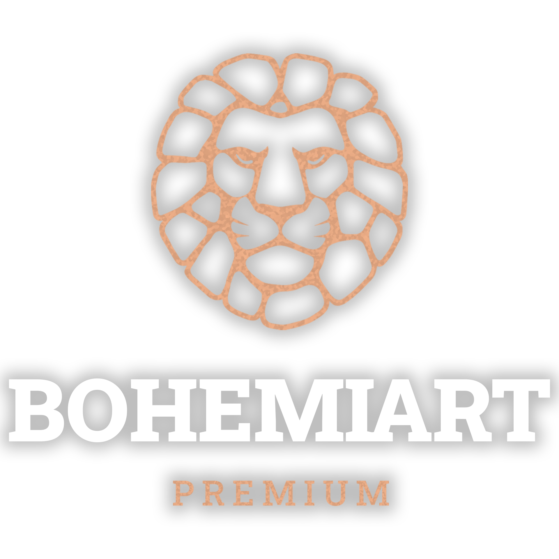 Logo Bohemiart